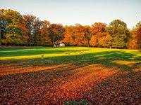 Image result for sonsbeek park