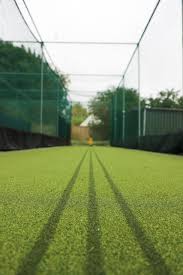 Image result for All Cannings Cricket Club