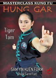 Image result for Hung Kuen School Of Shaolin Kung Fu