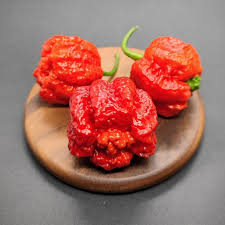 Afbeeldingsresultaat voor 7 pot hot pepper