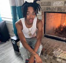 Attēlu rezultāti vaicājumam “juvenile”