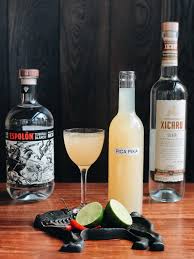 Attēlu rezultāti vaicājumam “Pica pica adult”