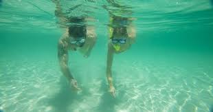 Image result for East Snorkellers