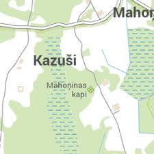 Attēlu rezultāti vaicājumam “Licea pusilla”