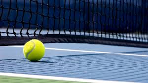 Image result for Mole Valley Mini Tennis Club