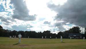 Image result for Tendring Cricket Club