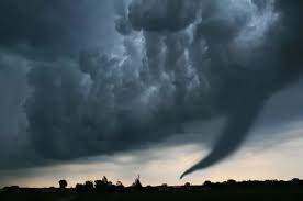 Image result for Tadcaster Tornadoes