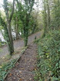 Image result for example