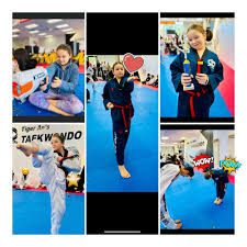 Image result for I T F Taekwondo (Andover)