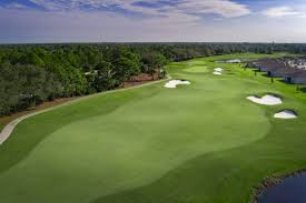 Image result for The Combe Martin Institute Club