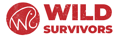 Image result for Survivors