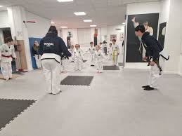Image result for Wirral UKTA Taekwon-do