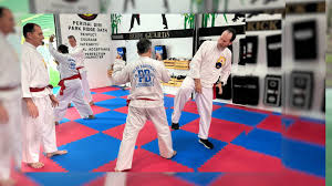 Image result for Silat Pd (Perisai Diri) UK