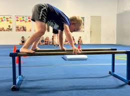 Image result for Thornton Sport Gymnastics