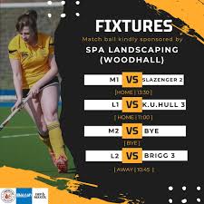 Image result for Brigg Hockey Club