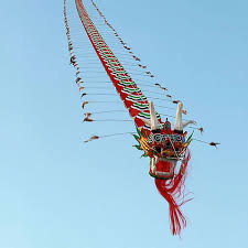 Image result for BARNET and WHETSTONE CHANGQUAN FLYING DRAGON