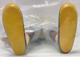 「神行太保・戴宗 ジャイアントロボ THE ANIMATION -地球が静止する日」の画像検索結果