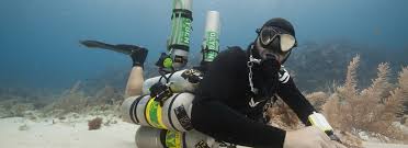 Image result for Headstream Divers