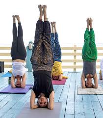 Image result for Affiliated Sivananva Yoga Teacher