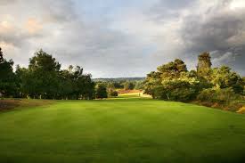 Image result for Reigate Heath Golf Club