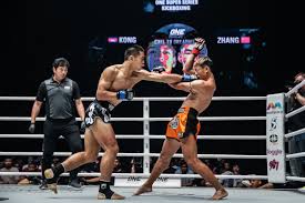 Image result for Southgate T`ai Tsung Chinese Boxing