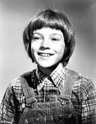 Attēlu rezultāti vaicājumam “Badhamia bethelii young”