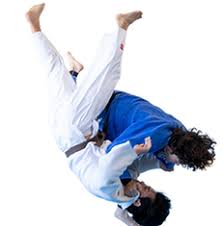 Image result for Halewood Inclusive Judo Club