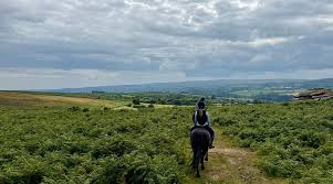 Image result for Porlock Vale Riding School