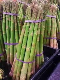 Attēlu rezultāti vaicājumam “Asparagus officinalis fruit”