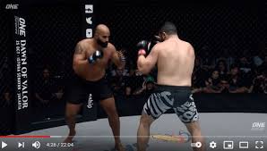 Image result for Chiltern MMA