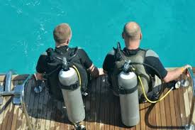 Image result for Divemaster Scuba