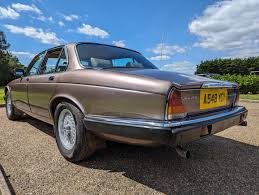 Image result for Antelope 1984 Jaguar