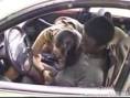 FRENCH BLONDE XXX TUBE, FRENCHIE BLONDE PORN VIDEOS, FRENCHPEE