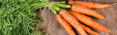 Image result for Möhren