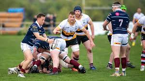 Image result for Stirling Wolves