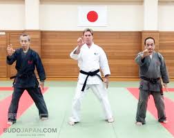 Image result for Ji Shin Do Karate