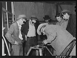 Résultat de recherche d'images pour "farm security administration photo"