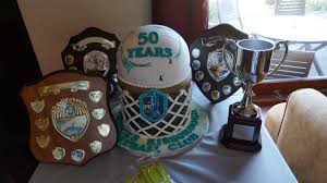 Image result for High Wycombe Junior Netball Club