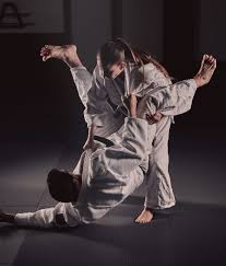 Image result for Intelligent Martial Arts