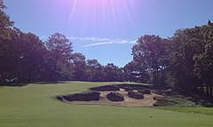 Image result for Easthampstead Golf Club