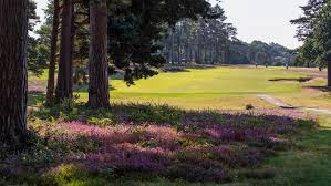 Image result for West Hill Golf Club