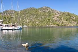 Image result for Göcek Turkey