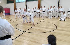 Image result for Haslemere Shotokan Karate Club