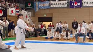 Image result for Caversham Karate Club SSKA