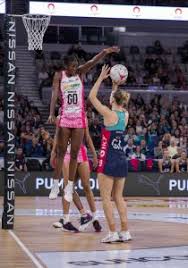 Image result for Airborne Ladies Netball Club