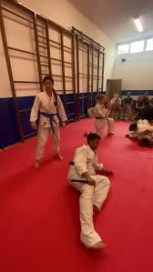 Image result for A BRITISH JUJITSU RYU in Lancing