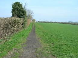 Image result for Peasedown-St-John Cc