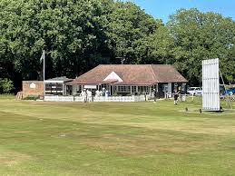 Image result for Henfield Cricket Club