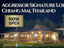 Image result for DeeperBlue.net Tribe (South London)