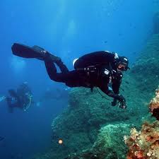 Image result for Exe To Sea Diving